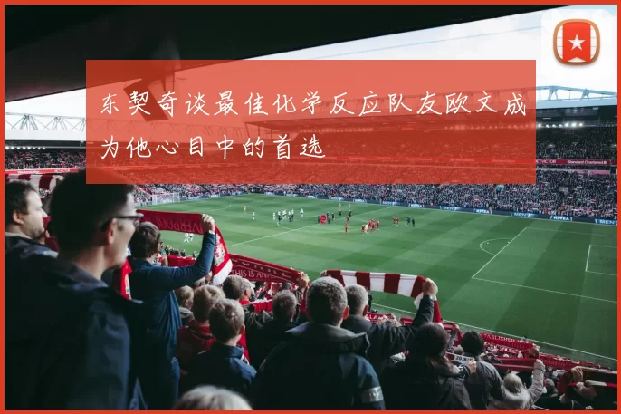 东契奇谈最佳化学反应队友欧文成为他心目中的首选