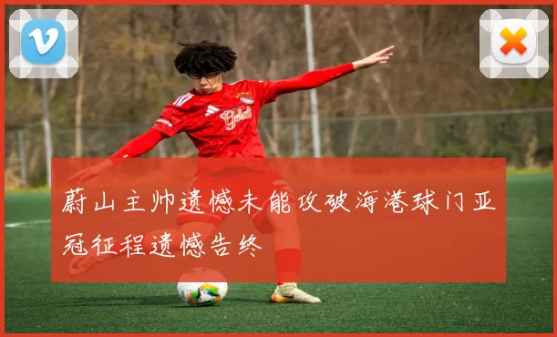 蔚山主帅遗憾未能攻破海港球门亚冠征程遗憾告终